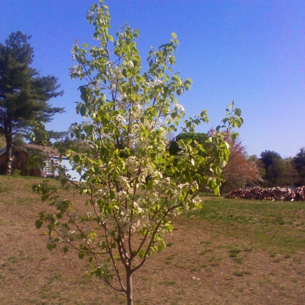 Meet your Posher, Bonnie